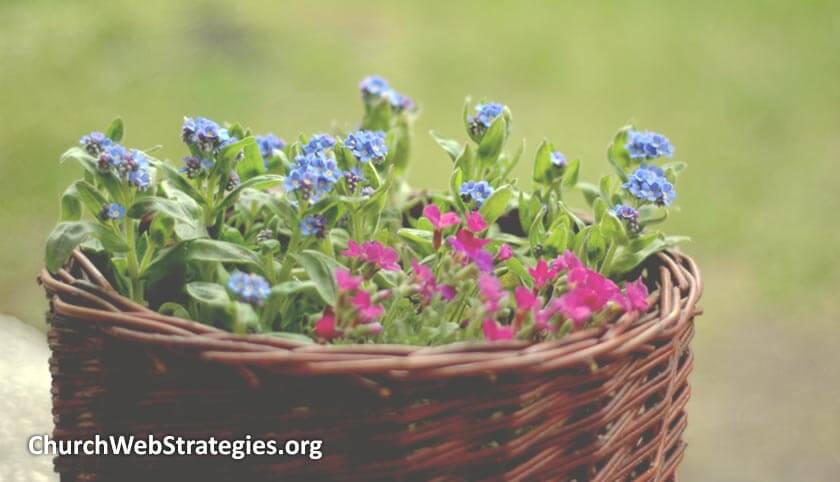 flowers growing in a basket