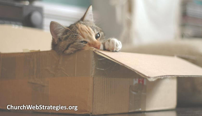 lazy cat laying in cardboard box